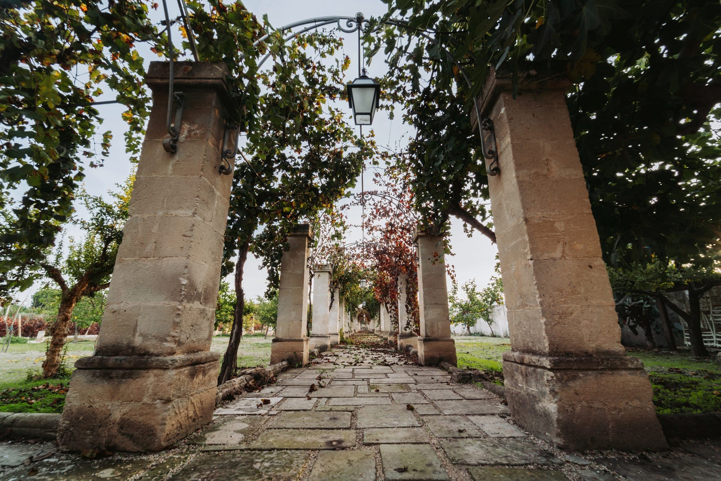 The colonnade of the Mediterranean garden, in the evening light